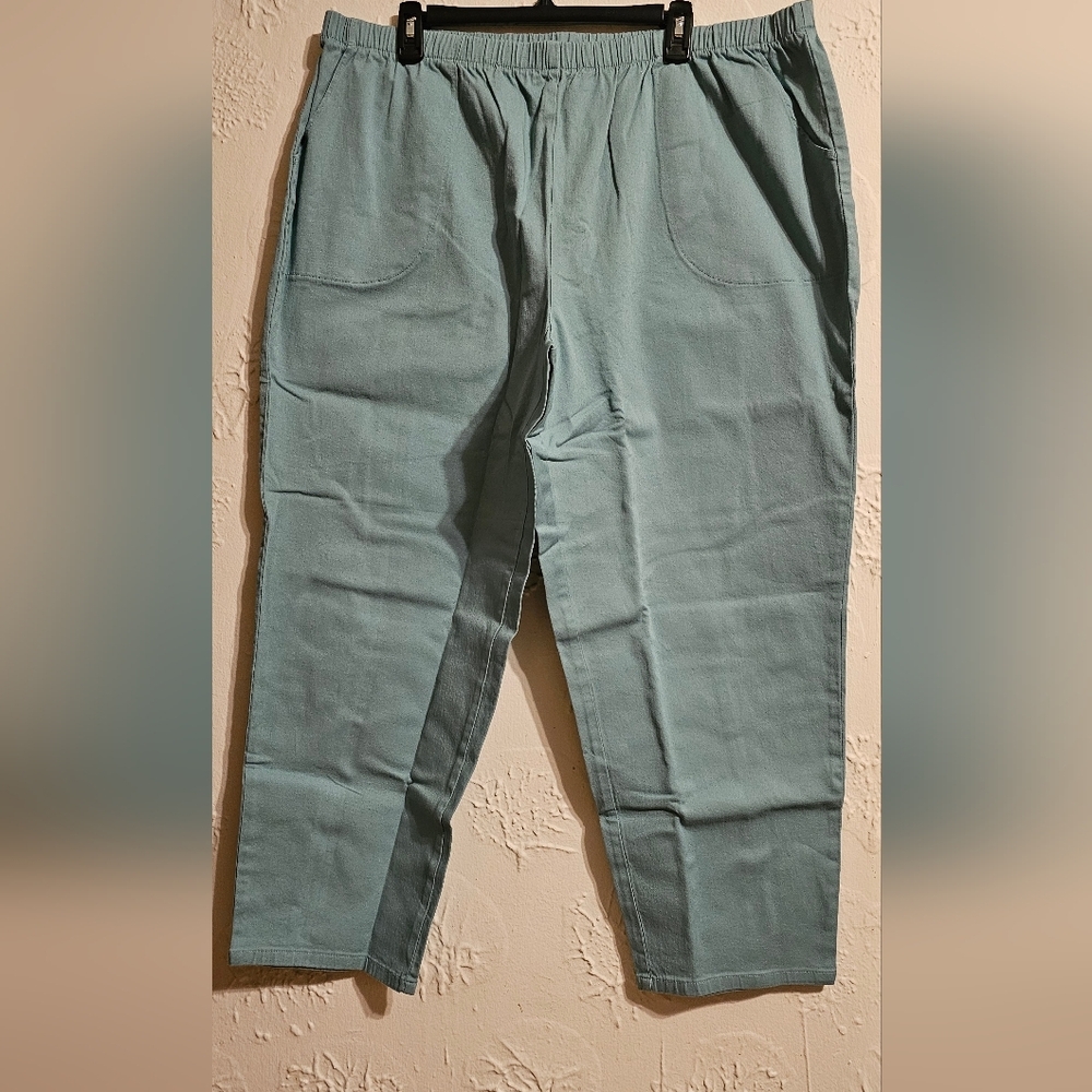 D&Co. Pull On Pants Straight Leg Seafoam Green New 3XP
